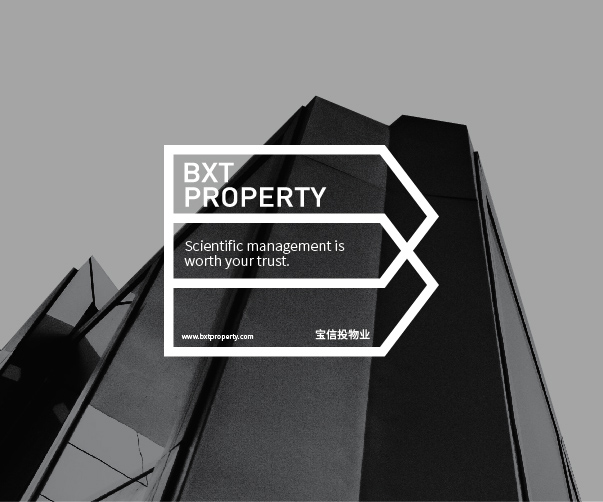 跨境電商新勢力：解鎖年輕活力與國際化的品牌設計密碼